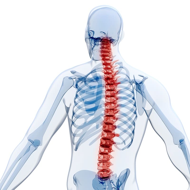 Médico de Columna Alta Especialidad