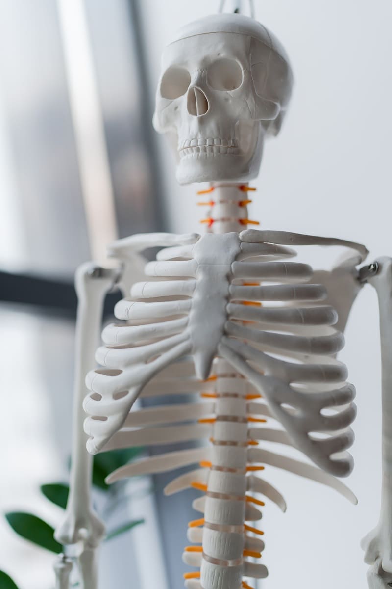 Ortopedista Traumatología Columnar