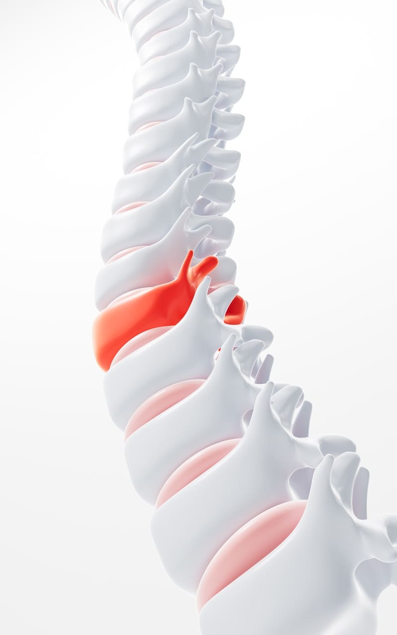 Whatsapp de un Ortopedista Columna en CDMX